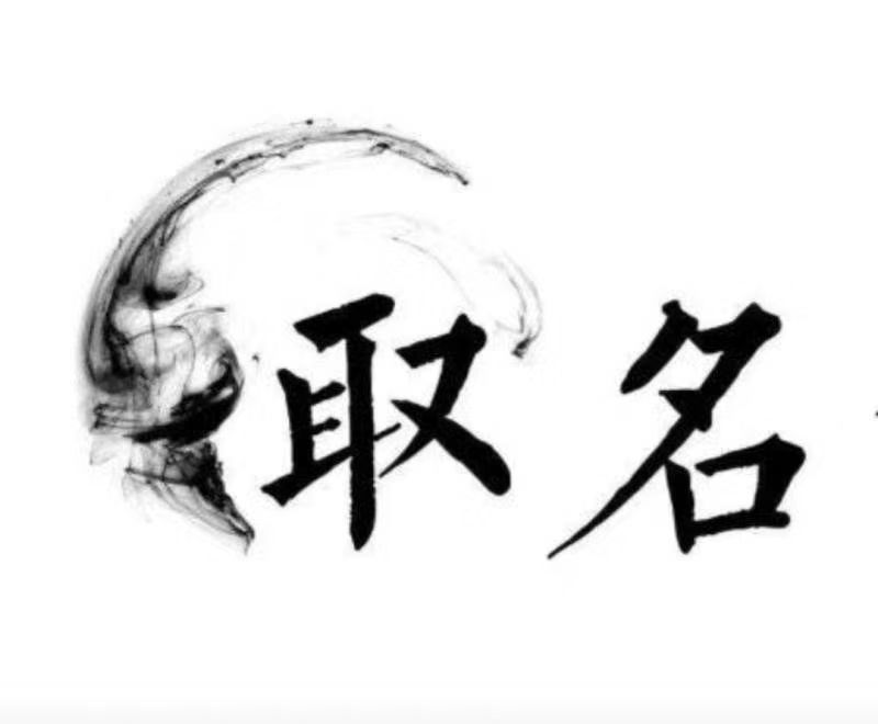  景县宝宝取名 大师一对一人工起名